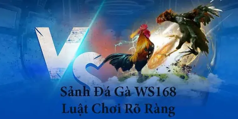 Tuyệt Chiêu Chơi Đá Gà WS168 Tại DR88 Mang Lại Cơ Hội Thắng Cao