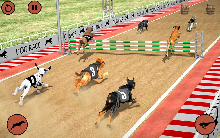 Bí Kíp Chinh Phục Game Đua Chó Tại DR88 Thắng Lớn Mỗi Ngày