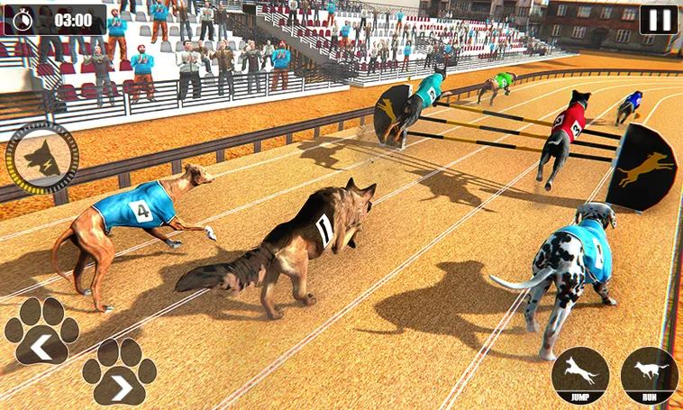 Bí Kíp Chinh Phục Game Đua Chó Tại DR88 Thắng Lớn Mỗi Ngày